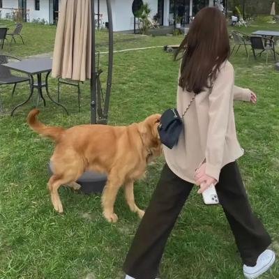 英伦谜杀